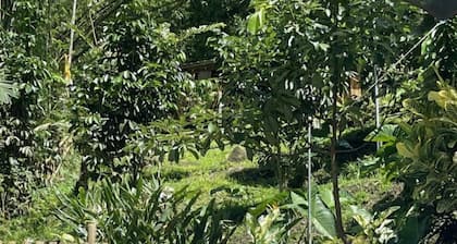Hillcreek's Studio Bliss Haven