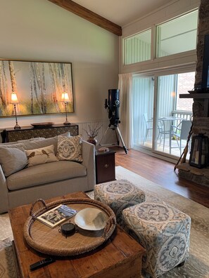Smart TV, fireplace, books