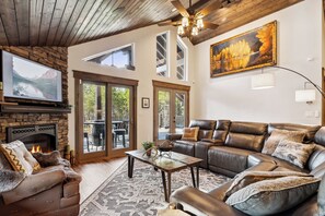 Smart TV, fireplace, books, music library