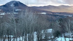 Paisaje montañoso con árboles cubiertos de nieve y un valle.