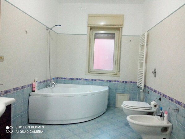 Shower, hair dryer, bidet, towels