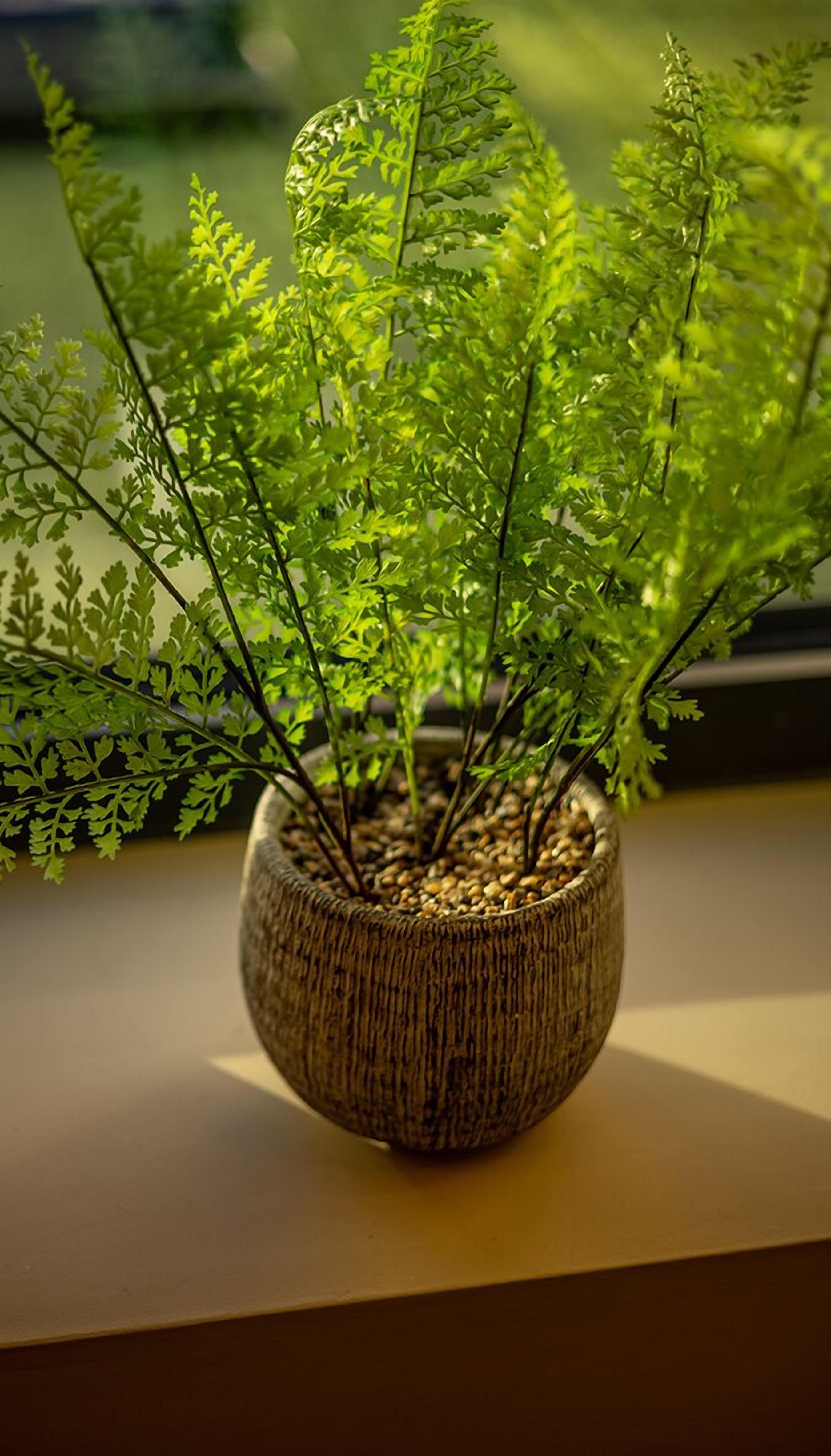 ฝ่ายต้อนรับ