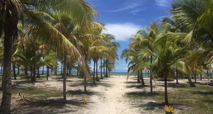 Casa em Ilha ParadisĂaca em Comandatuba