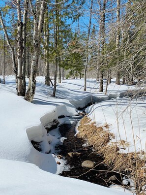Exterior - Lake Superior views from this private Robin's Nest in the northern woods (Calumet Township)