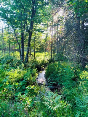 Miscellaneous - Lake Superior views from this private Robin's Nest in the northern woods (Calumet Township)