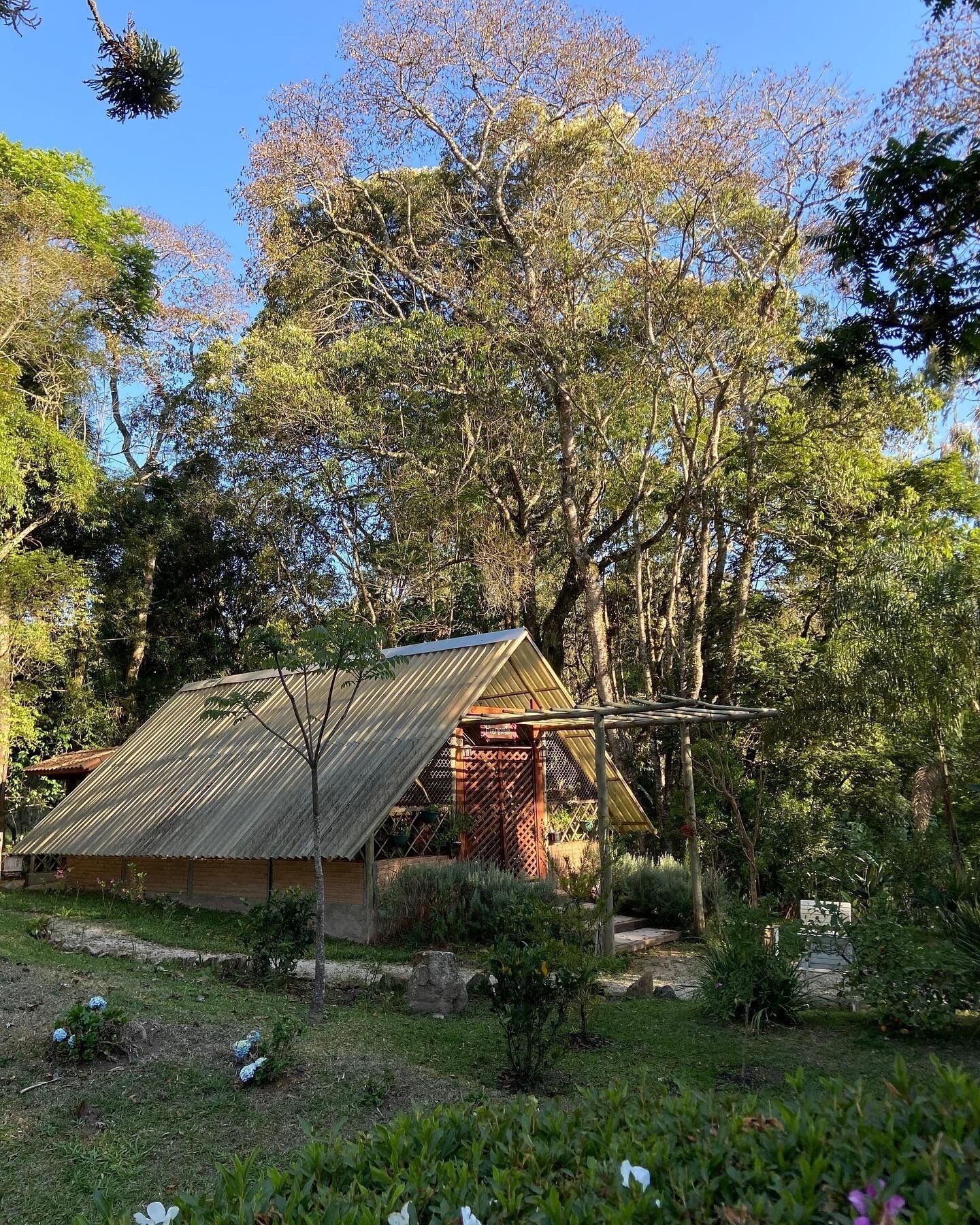 A rustic wooden house with a corrugated metal roof, surrounded by lush greenery and trees.