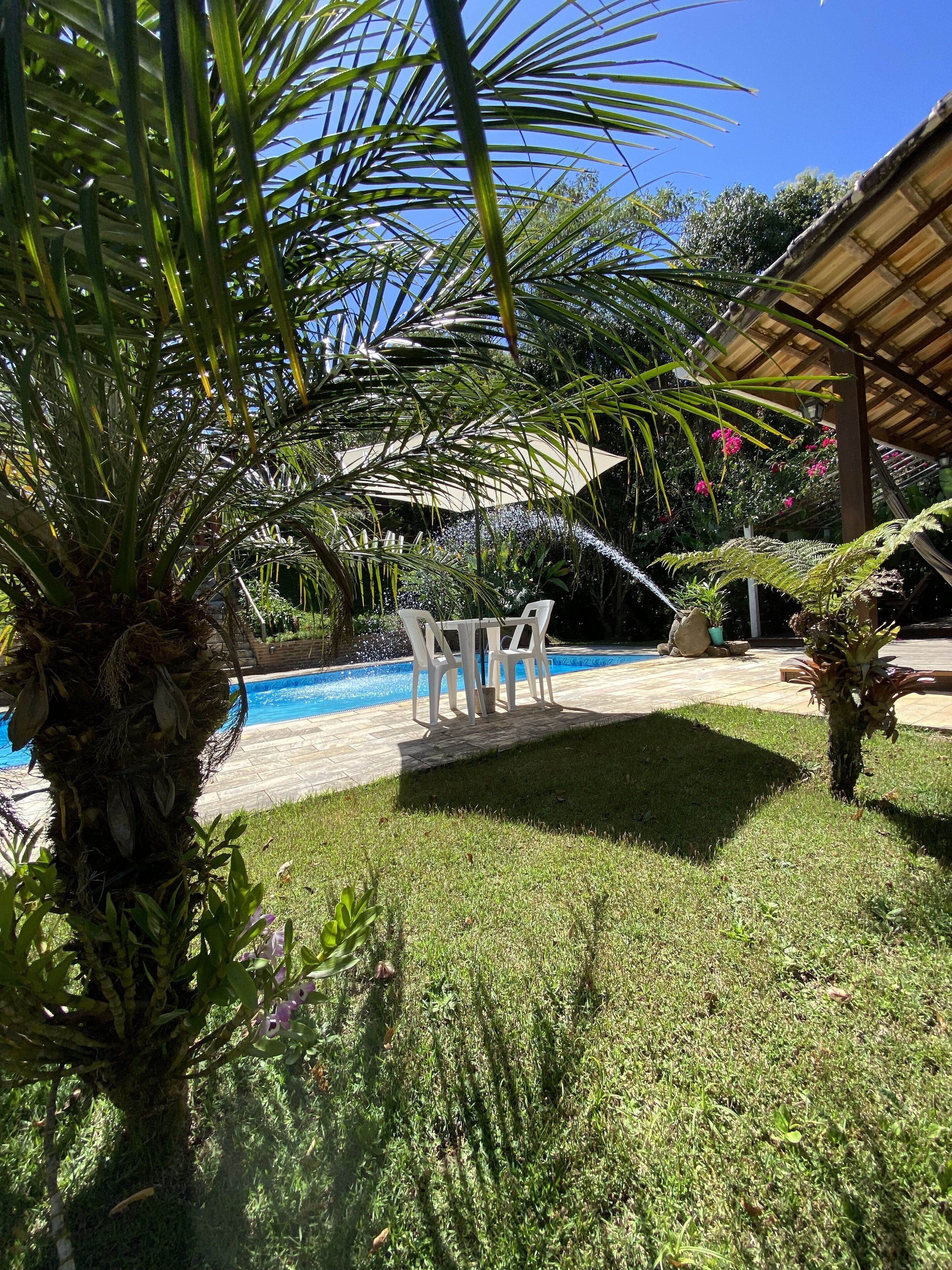 Zona de piscina con una palmera, área de descanso cubierta y césped.