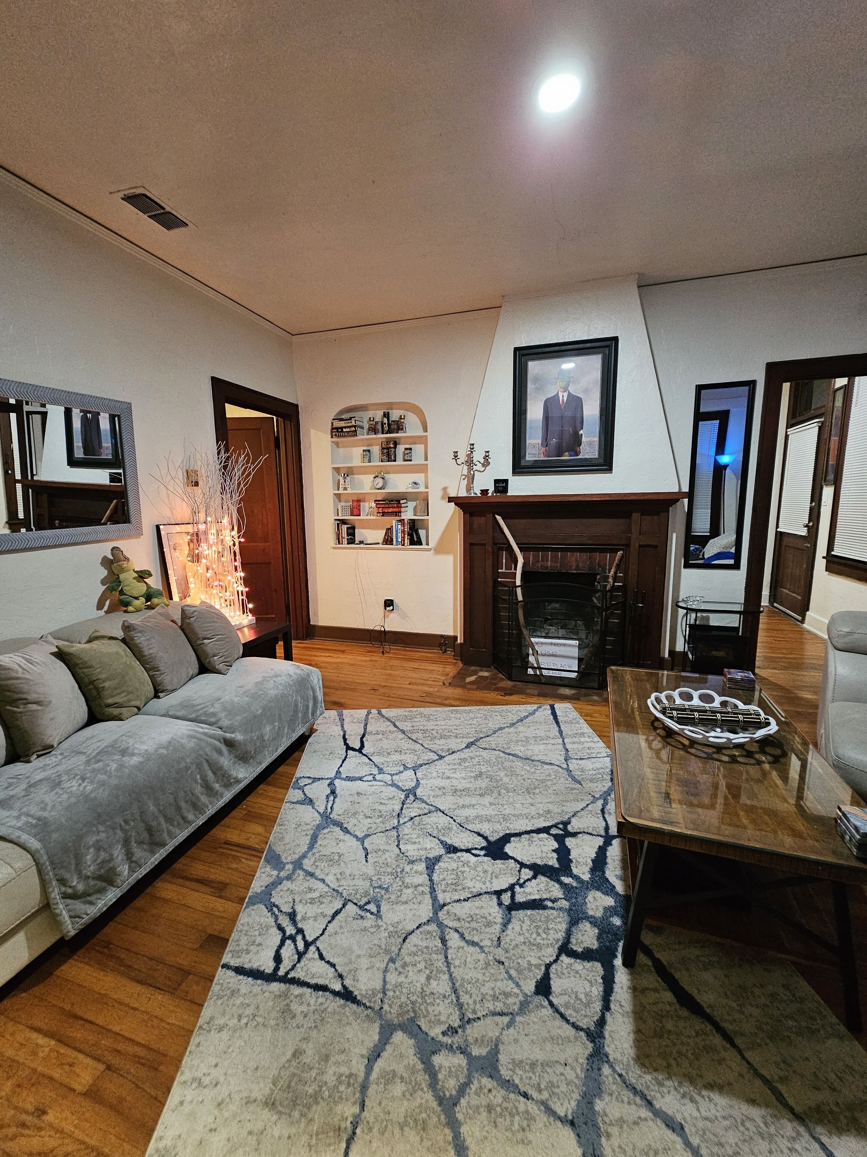 Smart TV, fireplace, books