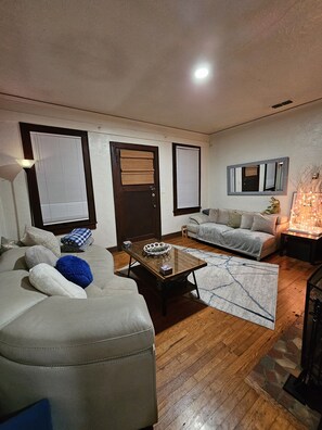 Smart TV, fireplace, books