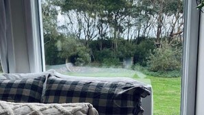 A bedroom with a bed, a window, and a view of a green landscape. - Woodlands - Secluded Rustic Cottage Near Great Ocean Road (Port Campbell)