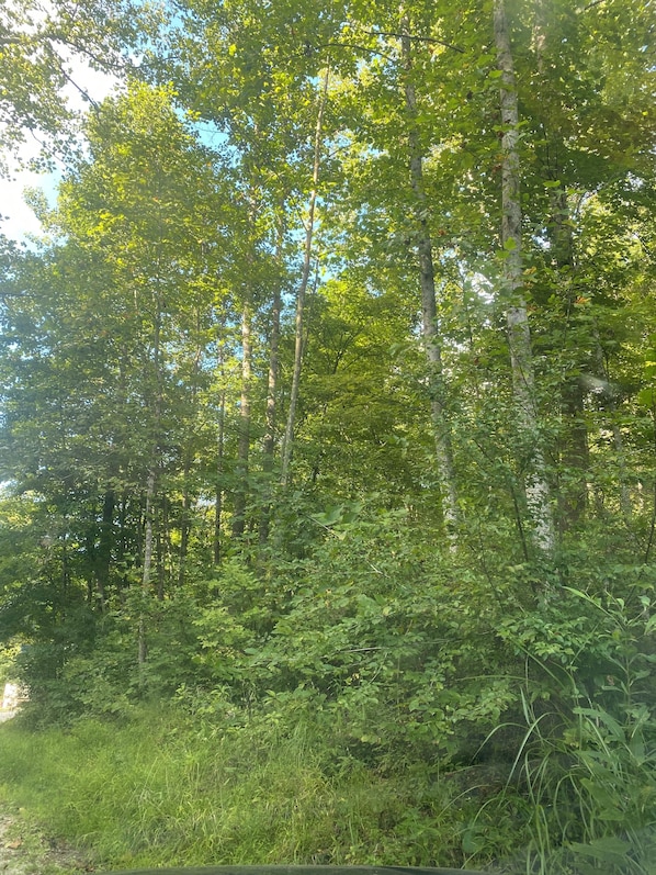 Miscellaneous