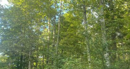 29 Beautifully Raw Acres to enjoy!!