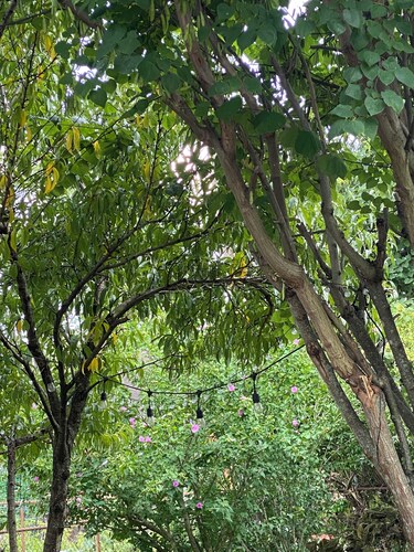 29 Beautifully Raw Acres to enjoy!!