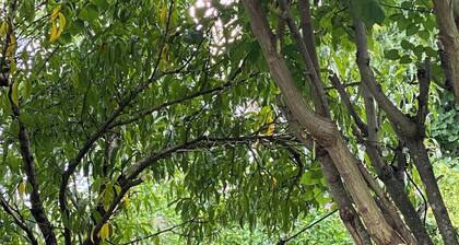 29 Beautifully Raw Acres to enjoy!!