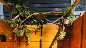 Une porte en bois avec une pomme de douche, entourée de plantes en pot et bordée d’un chemin de pierres.