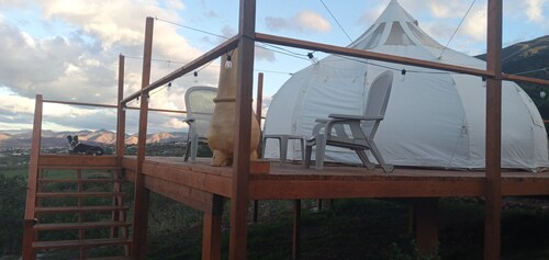 Luxury Stargazing Glamping,  private deck, eco bath.  Pets welcome.  