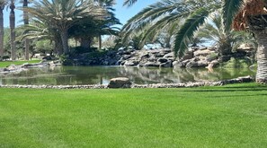 Sân golf trong nhà