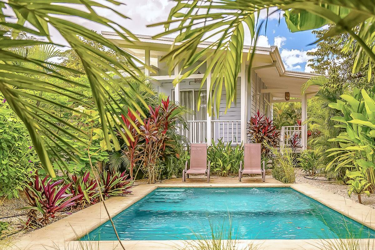 Une piscine avec une maison en arrière-plan, le tout entouré de plantes tropicales.