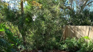A garden with various plants and a wooden fence. - Beachside 1/1 apartment just steps from beautiful Saint Augustine Beach (St. Augustine)