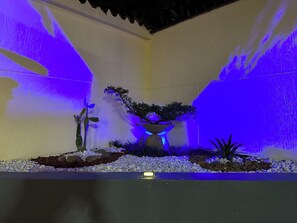 Terrain de l’hébergement 