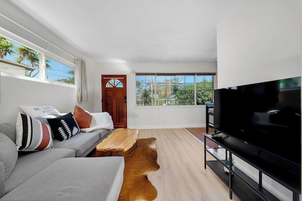 Modern Living Room with Comfy Couch, 55” Roku TV with Popular Streaming Services, Beautiful View of Tree Lined South Park