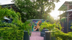 A pathway leading to a building with a mural, surrounded by greenery and potted plants. - Afueras Del Mar Container #1 (Lano Los Patos)