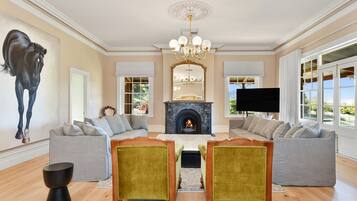 Smart TV, fireplace, books