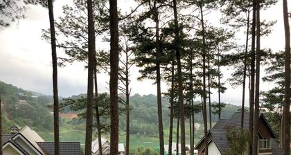 Villa with lakeview and surrounded pine trees - 15 minutes to downtown Dalat!