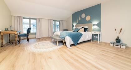 Appartement Plein de Charme, au CĆur de la Ville de MĂącon