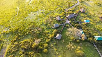 Luftaufnahme eines Resorts mit mehreren Gebäuden, die durch Wege verbunden sind, umgeben von üppiger Vegetation.