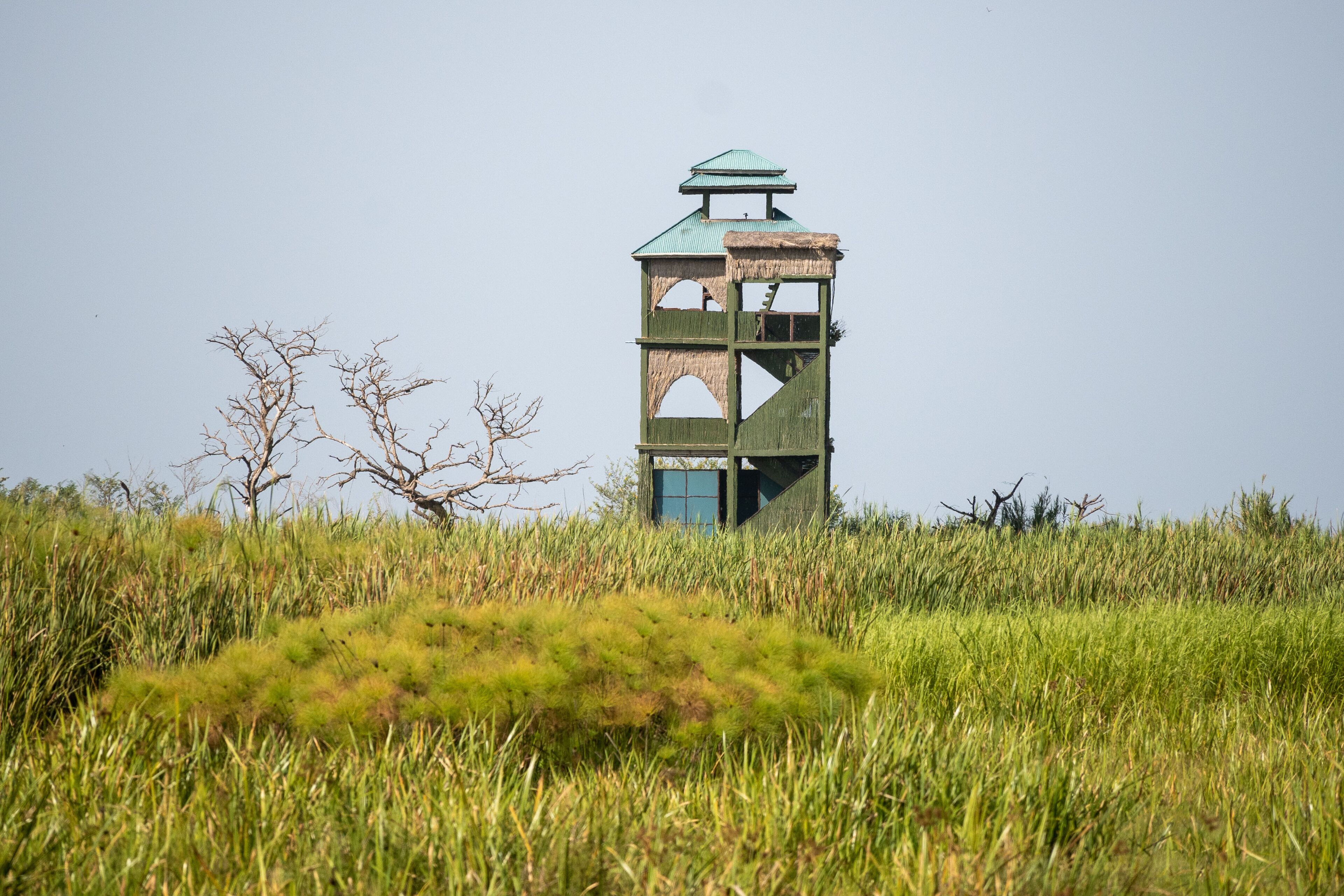 Een eenzame toren te midden van hoog gras en kale bomen.
