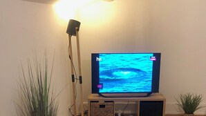 A living room with a flat-screen TV, wooden flooring, a standing floor lamp, and two potted plants.