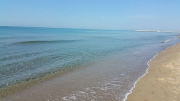 Ranta