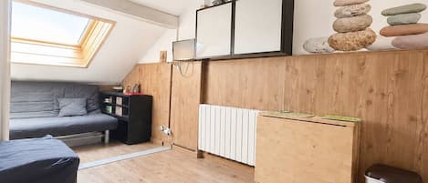 TV