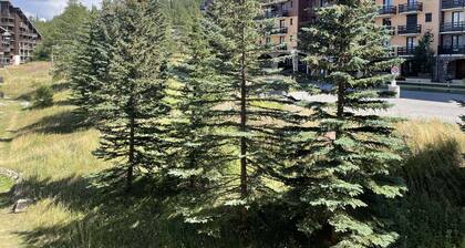 Location Risoul 1850 : Appartement 5 couchages, Proximité Commerces et Téléski, Balcon Sud