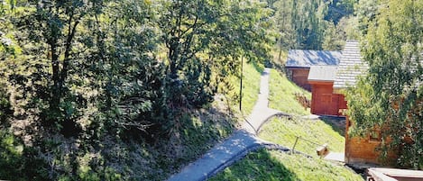 Àrea exterior de l'allotjament