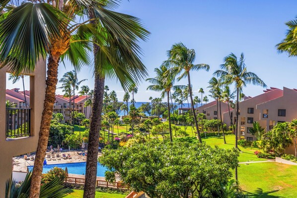 Property grounds - New Bathrooms! Modern Spacious Penthouse Oceanview (Kihei)