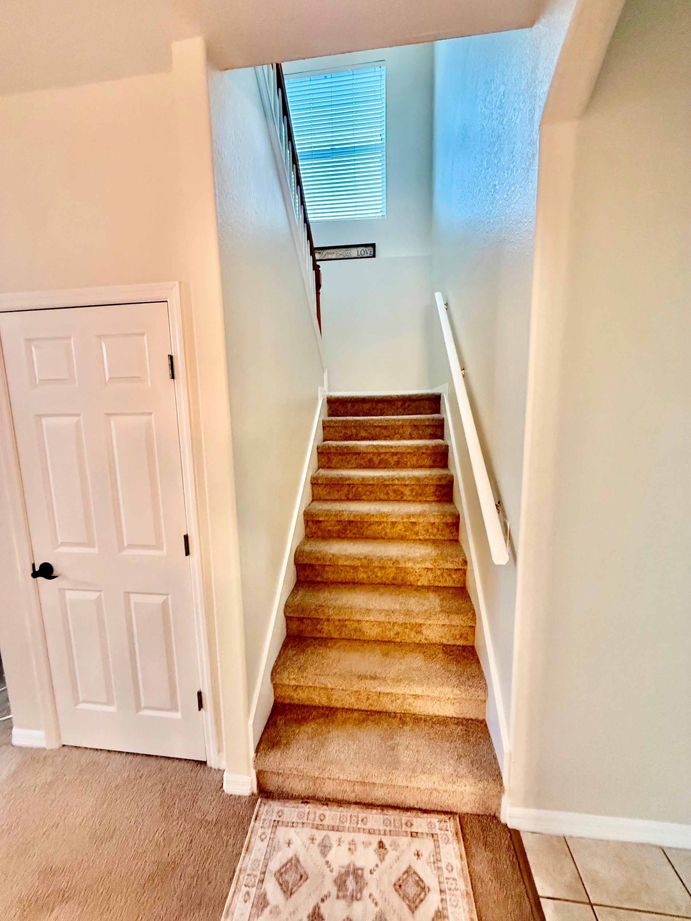 A carpeted staircase with a handrail, a door, and a window with blinds.