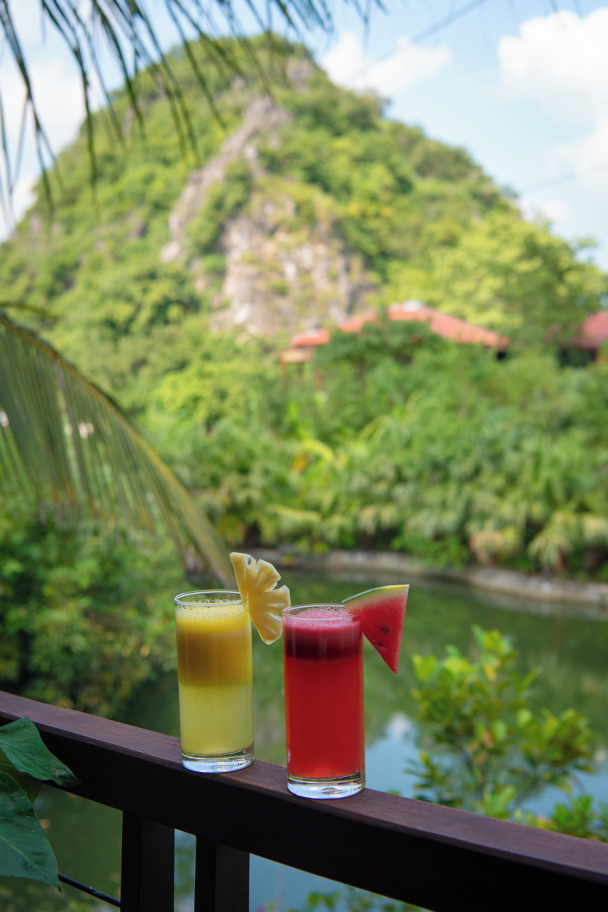 Two drinks on a balcony with a view of a lush green landscape and a body of water.