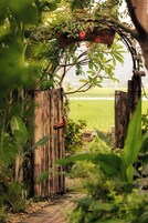 King Room, Mountain View | Hypo-allergenic bedding, free minibar items, desk, laptop workspace