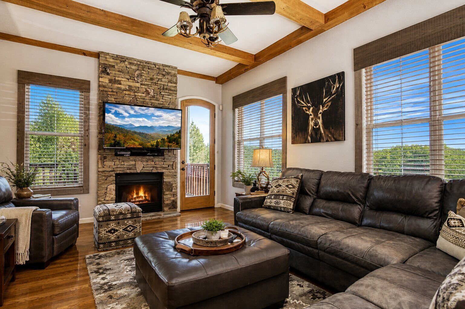 TV, fireplace, video games, DVD player
