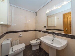 Hair dryer, bidet, towels