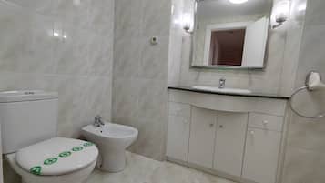 Hair dryer, bidet, towels