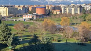 A cityscape with a mix of residential and commercial buildings, a park with trees, and snow-capped mountains in the background.