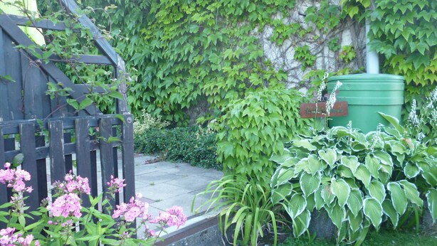 Un jardín con valla de madera, follaje verde y plantas florecientes.