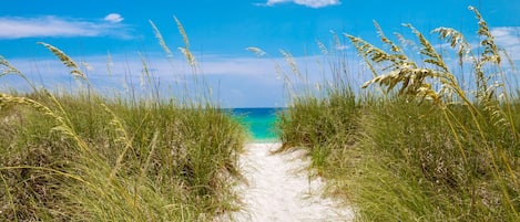 Playa en los alrededores