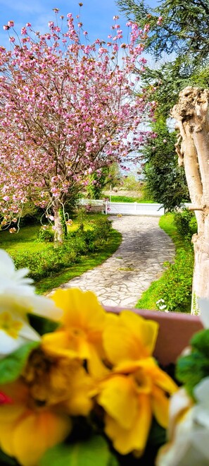 Property grounds - Beautiful house for 6p. between St-Malo and Mont St. Martin. Michel. Michel.|33(O)753:64;6977  (Mont-Dol)