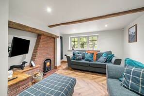 TV connectée, cheminée