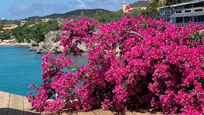 Een houten terras met felroze bougainvillea bloemen, met uitzicht op een kustgebied met helderblauw water en verre gebouwen.