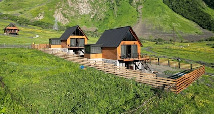 Traveler's Cottage in Kazbegi